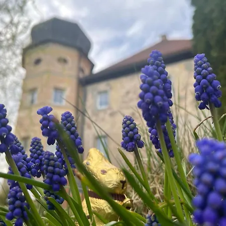 Schloss1611 Guest house
