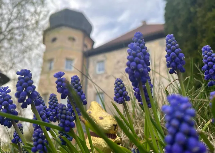 Schloss1611 招待所